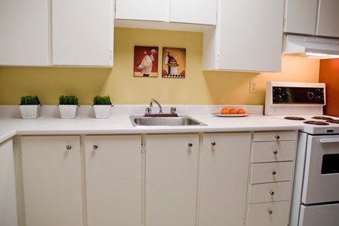 Floor plan for 1 bed, 1 bath, 880 sqft