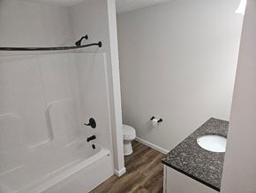 Lima apartment for rent - a bathroom with a shower and a sink and a toilet