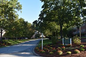 Tyngsborough apartment for rent - a street with trees and bushes and a sign next to a road