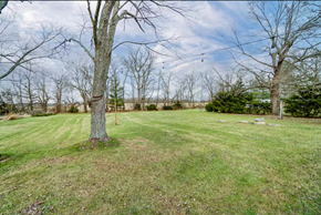 Elida house for rent - A grassy field with trees and a clear sky.