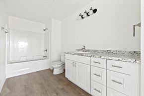 Driggs apartment for rent - a bathroom with a sink and a toilet and a bath tub