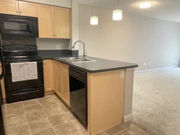 Edmonton apartment for rent - a kitchen with black appliances and a counter top