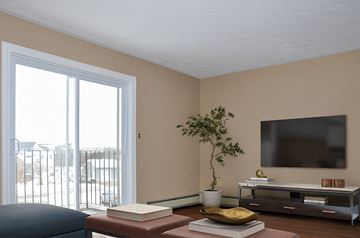 Charlottetown apartment for rent - A living room with a television, a plant, and a book on the coffee table.
