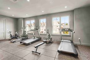 Greenwich apartment for rent - A spacious home gym with treadmills, elliptical machines, and stationary bikes.