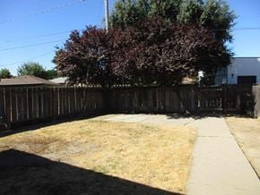 Patterson house for rent - A backyard with a brown fence and a tree with red leaves.