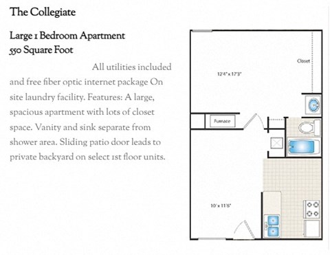 Floor plan for 1 bed, 1 bath, 550 sqft