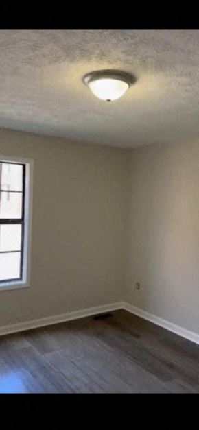 Lexington apartment for rent - an empty living room with a light on the ceiling