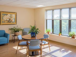 West Roxbury apartment for rent - a dining room with a table and chairs and plants