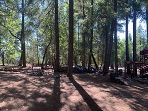 Hayfork apartment for rent - a campsite in the woods with a lot of trees