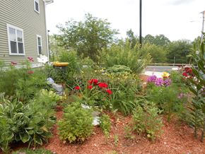 Franklin apartment for rent - a garden in front of a house and a tennis court