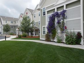 Franklin apartment for rent - an archway covered in purple flowers in front of an apartment building
