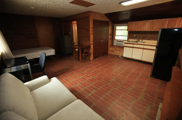 Ann Arbor apartment for rent - the living room of a cabin with a couch and a kitchen