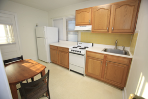 Ann Arbor apartment for rent - 511-1 kitchen