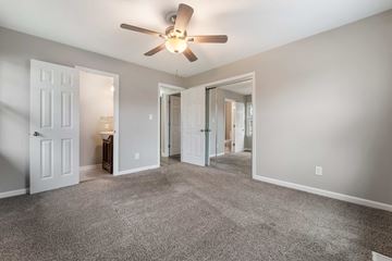 Jacksonville house for rent - a living room with carpet and a ceiling fan