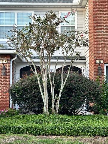 Jacksonville house for rent - a tree in front of a brick house