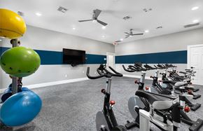 Austin apartment for rent - Fitness Center Villas at Stone Oak Ranch