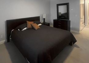 Edmonton apartment for rent - a bedroom with a large bed and a tv in it