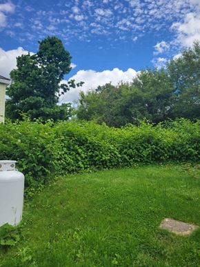 New Glasgow apartment for rent - a white generator in the grass in front of a hedge