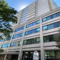 Toronto apartment for rent - a tall building with a tree in front of it