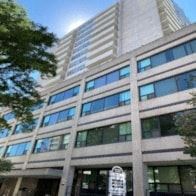 Toronto apartment for rent - a tall building with a tree in front of it