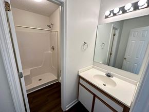 Greer house for rent - a bathroom with a sink and a shower and a mirror