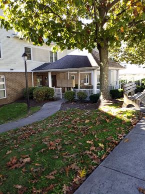 Ashland apartment for rent - a sidewalk in front of a house with a tree