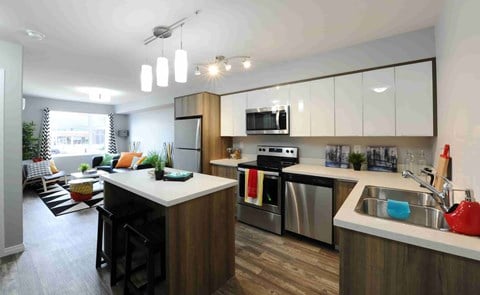 Floor plan for 1 bed, 1 bath, 537 sqft