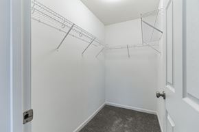 Shepherdsville house for rent - an empty closet in a home with white walls and grey carpet