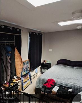 Ann Arbor apartment for rent - Bedroom 1 with skylight, private bath  and patio, adjacent laundry
