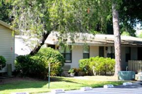 Brandon apartment for rent - A house with a white fence and green bushes in front.