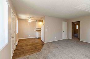 Vancouver apartment for rent - A spacious room with a carpeted floor and a ceiling fan.