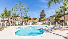Moorpark apartment for rent - a swimming pool with palm trees and apartments in the background