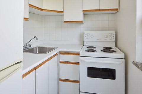 Floor plan for studio, 1 bath, 371 sqft