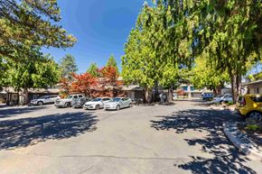 Vancouver apartment for rent - A parking lot with cars and trees.