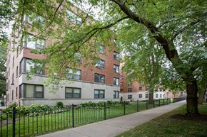 Chicago apartment for rent - our apartments are located in a quiet neighborhood with trees and a sidewalk