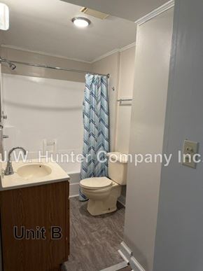 Stantonsburg apartment for rent - A bathroom with a toilet, sink, and shower curtain.