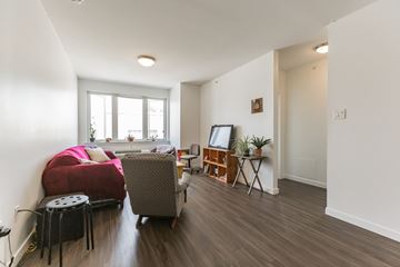 Philadelphia apartment for rent - A living room with a red couch and a grey couch with a television and a plant.