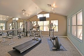 Henderson apartment for rent - a gym with weights and cardio equipment at the estates apartments