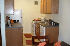 Richmond apartment for rent - a kitchen with a stove and a sink and a refrigerator