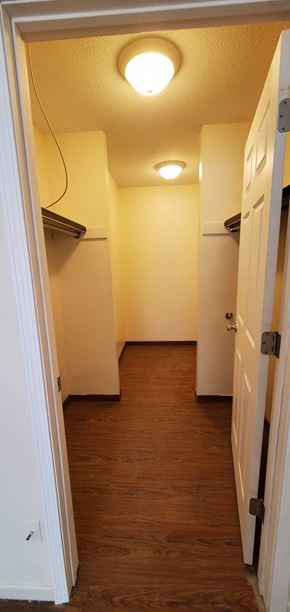 Hattiesburg apartment for rent - A hallway with a light on the ceiling and a door on the right.