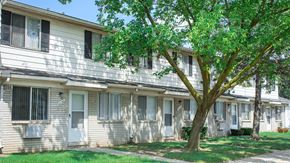 Taylor apartment for rent - A tree in front of apartment buildings.