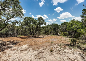 Spring Branch apartment for rent - a dirt field with trees in the distance
