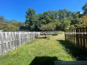 Winchester townhouse for rent - a yard with a fence and trees