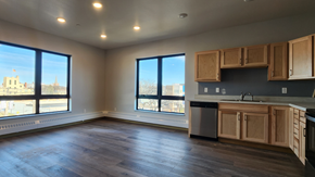 Fargo apartment for rent - an empty living room with a kitchen and a large window