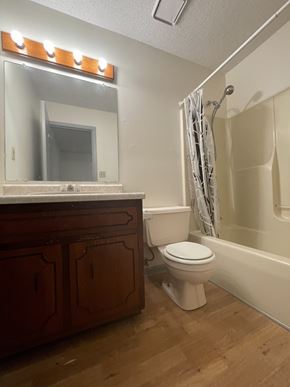 Clarksville house for rent - A white toilet sits under a mirror in a bathroom.