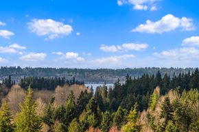Kirkland apartment for rent - A forest of trees with a lake in the distance under a blue sky.