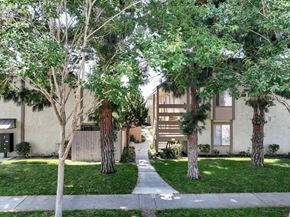 Cypress apartment for rent - A tree in front of a building.