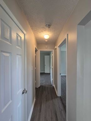 Oak Grove house for rent - A long hallway with white doors and a carpeted floor.
