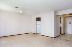 Delaware apartment for rent - A spacious room with a white ceiling and a beige carpet.