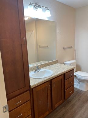 Milledgeville apartment for rent - a bathroom with a sink and a toilet and a mirror